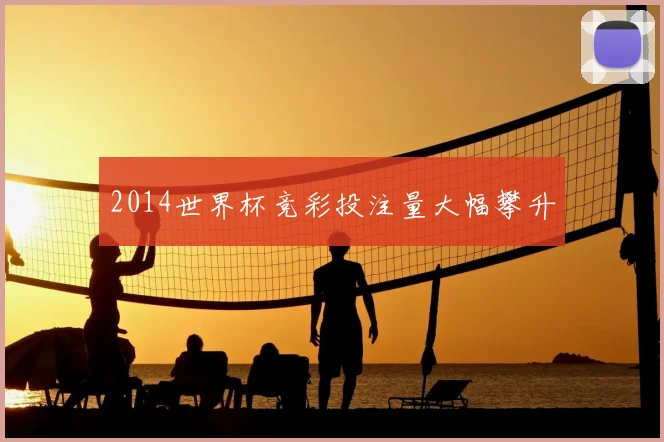 2014世界杯竞彩投注量大幅攀升