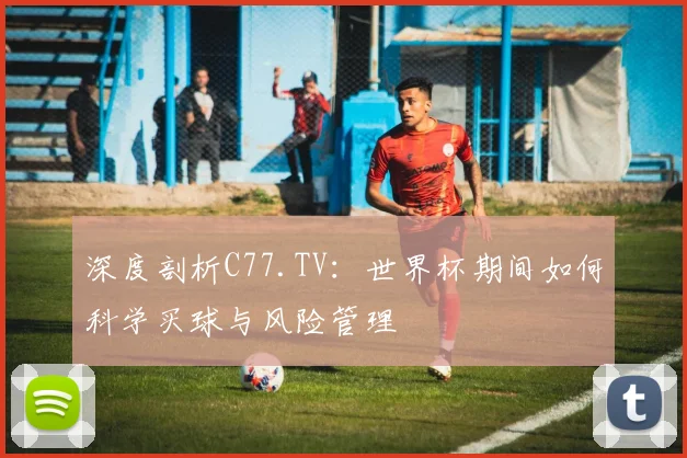 深度剖析C77.TV：世界杯期间如何科学买球与风险管理